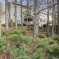 3710 Livery Ln, Cumming, GA 30040 ID:15411510