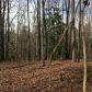 1005 Timber Trl, Austell, GA 30168 ID:15426581