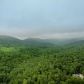 163 Laurel Ridge Trl, Ball Ground, GA 30107 ID:15446721