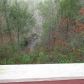 380 Horsehoe Bend Rd, Dahlonega, GA 30533 ID:15383223