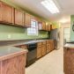 383 Wildflower Trl, Dawsonville, GA 30534 ID:15487327