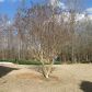 56 Righteous Path, Jefferson, GA 30549 ID:15390150