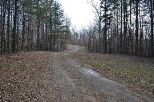 1236 Angel Rd, Fairmount, GA 30139