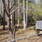 7335 Grayson Dr, Riverdale, GA 30296 ID:15517023