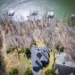 504 Mill Cove Dr, Dahlonega, GA 30533 ID:15527589