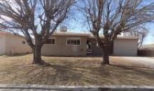 1313 Spruce Ave Alamogordo, NM 88310