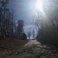 7825 SILVER CREEK RD, Dawsonville, GA 30534 ID:15355675