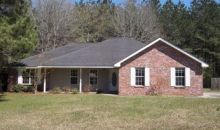 18 Southdown Rd Sumrall, MS 39482