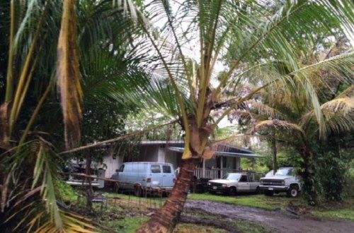15-2698 Manini St, Pahoa, HI 96778