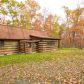 3797 Dillons Run Road, Capon Bridge, WV 26711 ID:15576928