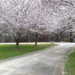 162 Hartfield Ln, Dallas, GA 30157 ID:15666182