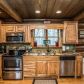 43 Lena Ct, Morganton, GA 30560 ID:15675380
