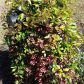 208 Cherry Hill Dr, Calhoun, GA 30701 ID:15644093
