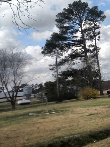 000 Hobbs Rd, Roseboro, NC 28382