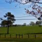 5596 Rockmart Rd SE, Silver Creek, GA 30173 ID:15691364