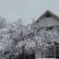 1130 W 34th St, Indianapolis, IN 46208 ID:15615793