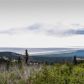 15701 Newell Drive, Anchorage, AK 99516 ID:14950160