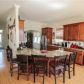 203 Winterhawk Cove, Dawsonville, GA 30534 ID:15723694