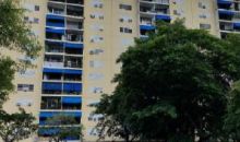 1008 Borinquen Towers Ii San Juan, PR 00920