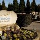 1892 Schofield Dr, Hampton, GA 30228 ID:15686310