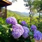 1670 Highway 129 N, Cleveland, GA 30528 ID:15675426