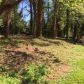 234 Hurt Rd SW, Smyrna, GA 30082 ID:15733256