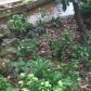 93 Windflower Dr, Jasper, GA 30143 ID:15732376
