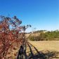 360 Big Pond Rd, Taylorsville, GA 30178 ID:15697364