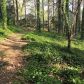 2042 Oak Grove Rd NE, Atlanta, GA 30345 ID:15710310
