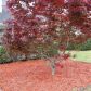11170 Mortons Crossing, Alpharetta, GA 30022 ID:15752714