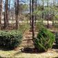 10112 Malcolm Ct, Covington, GA 30014 ID:15786095