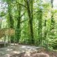 4207 Autumn Woods Ct, Stone Mountain, GA 30083 ID:15799868