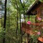 55 Mountain View Rd, Ellijay, GA 30540 ID:15829839