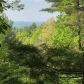 55 Mountain View Rd, Ellijay, GA 30540 ID:15829841