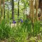 55 Mountain View Rd, Ellijay, GA 30540 ID:15829842