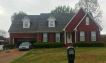 45 Ferndale Cv Jackson, TN 38305