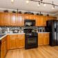 258 Cobbler Cove Dr, Dallas, GA 30132 ID:15876840