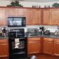 1557 Alcovy Falls Dr, Lawrenceville, GA 30045 ID:15875959