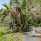 61 NE 161ST STREET, Miami, FL 33162 ID:15794540
