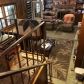 4005 Forrestal Dr, Atlanta, GA 30341 ID:15877449