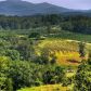 LT20 Scenic Heights, Blue Ridge, GA 30513 ID:15897433