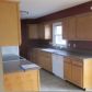 4520 Meridian Rd, Williamston, MI 48895 ID:15729198