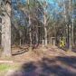 185 Trotters Walk, Covington, GA 30016 ID:15506040