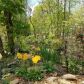 3235 Southshore Circle, Cumming, GA 30041 ID:15382319