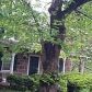 1810 Schwenksville Rd, Schwenksville, PA 19473 ID:15884932