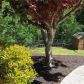 4652 Warrior Trl SW, Lilburn, GA 30047 ID:15758657