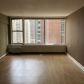 21 E Chestnut St #20B, Chicago, IL 60611 ID:15794845