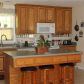 142 Mountain View Rd, Lavonia, GA 30553 ID:15741989