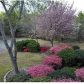 6593 Mcever Rd, Flowery Branch, GA 30542 ID:15731549