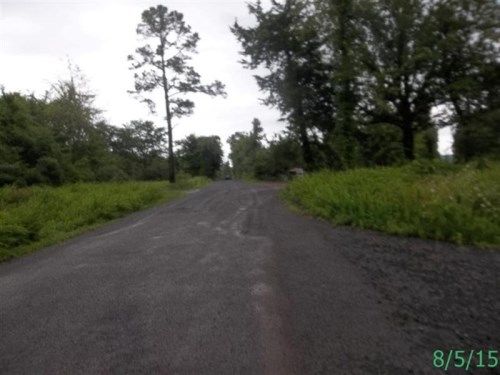 590 LIBBY LANE, Dennard, AR 72629